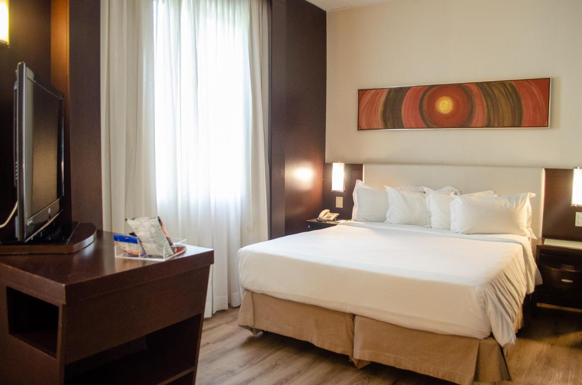 Royal Boutique Savassi Hotel Belo Horizonte Eksteriør billede A room at the hotel