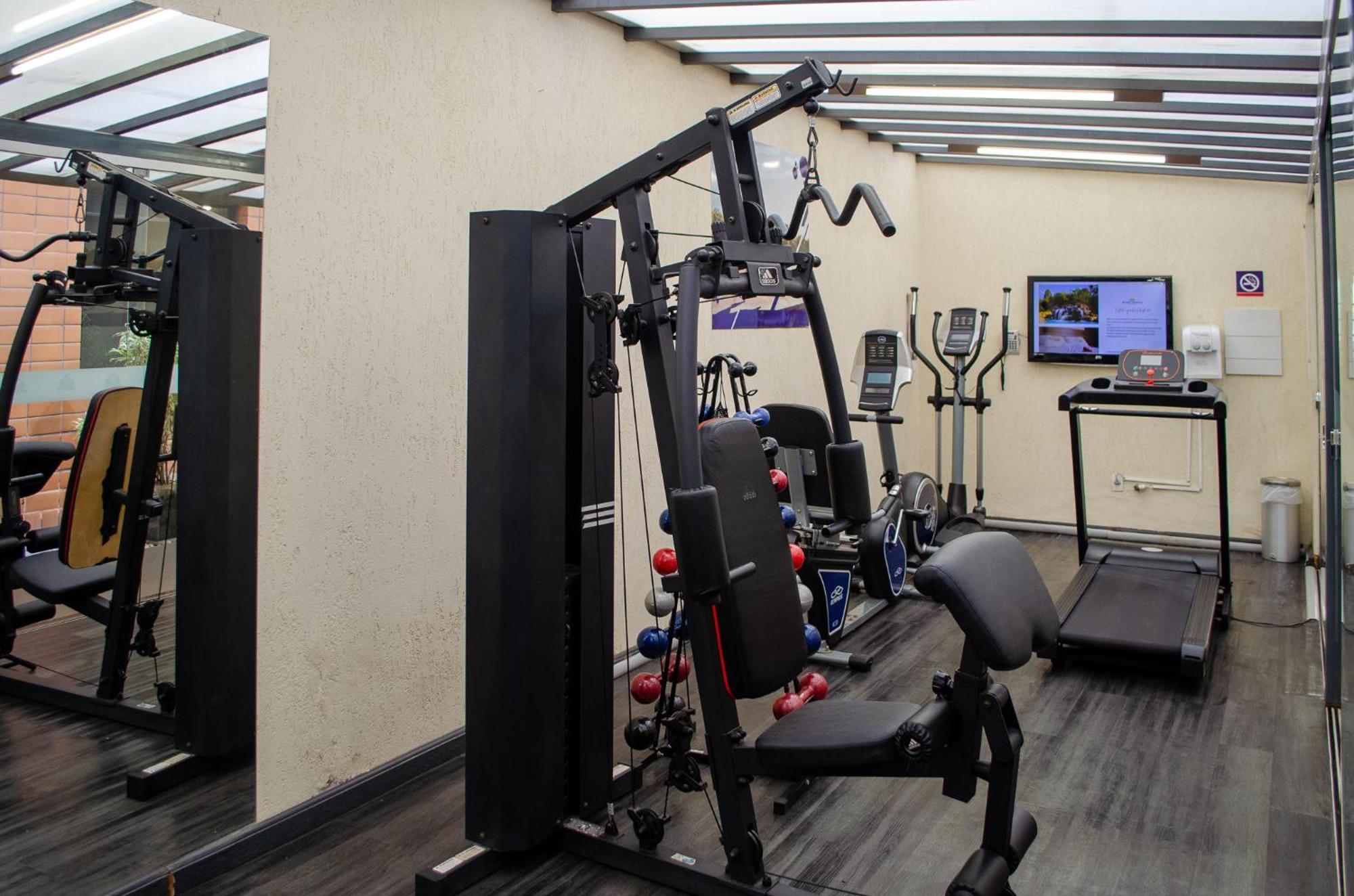 Royal Boutique Savassi Hotel Belo Horizonte Eksteriør billede A gym at the hotel