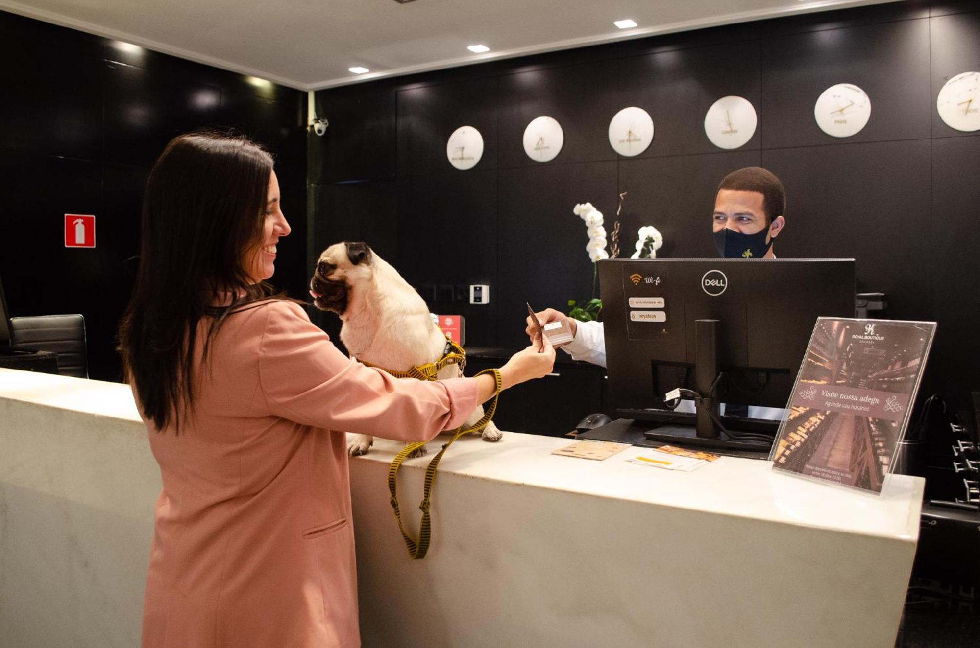 Royal Boutique Savassi Hotel Belo Horizonte Eksteriør billede A woman checking in at a hotel with her dog